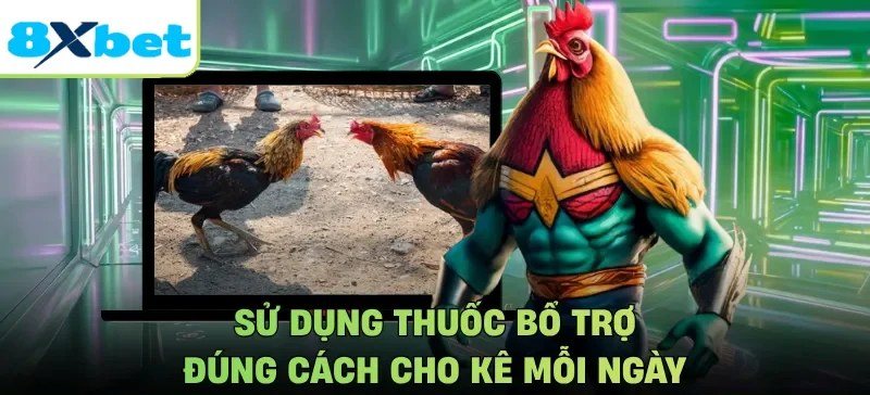 Minh họa lời nhắc dùng bổ trợ dinh dưỡng đúng cách khi luyện gà
