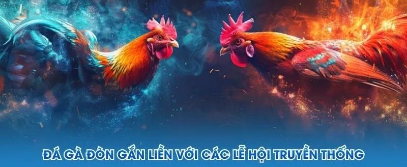 Tranh minh họa hai chiến kê gà đòn đối đầu với hiệu ứng lửa và nước