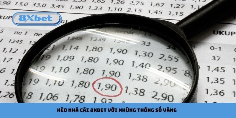 Kính lúp soi bảng tỷ lệ, minh họa cách đọc xác suất ngầm định của từng tỷ số