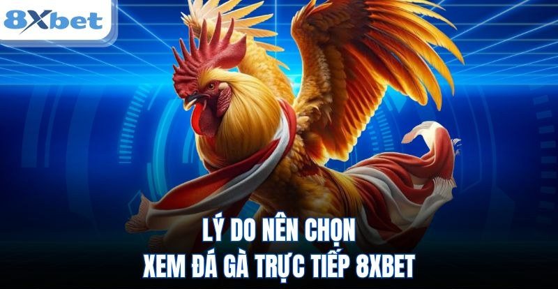 Minh họa chiến kê sải cánh với lời giới thiệu xem đá gà online tại 8Xbet