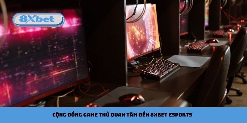 Phòng máy thi đấu thể thao điện tử với dàn màn hình và bàn phím cơ chuyên nghiệp
