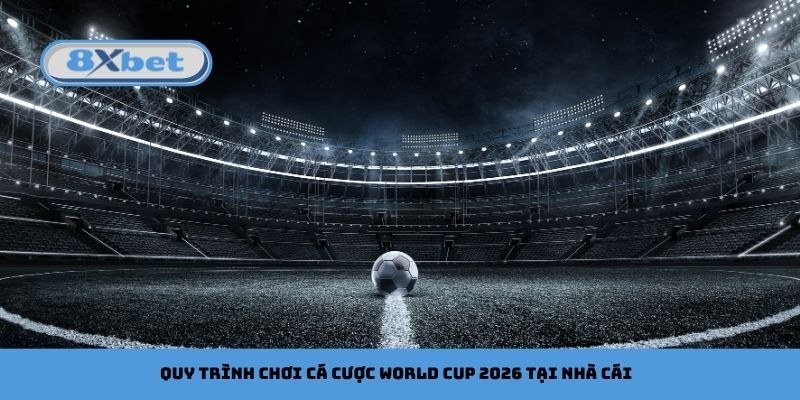 Quả bóng giữa sân vận động minh họa kế hoạch quản lý vốn khi cược Euro và World Cup