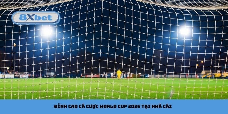 Cá cược giải đấu lớn tại 8Xbet với sân vận động rực sáng trong đêm thi đấu