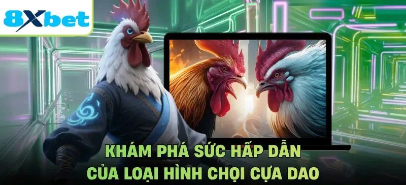 Minh họa hai chiến kê cựa dao đối mặt trên màn hình phát trực tiếp