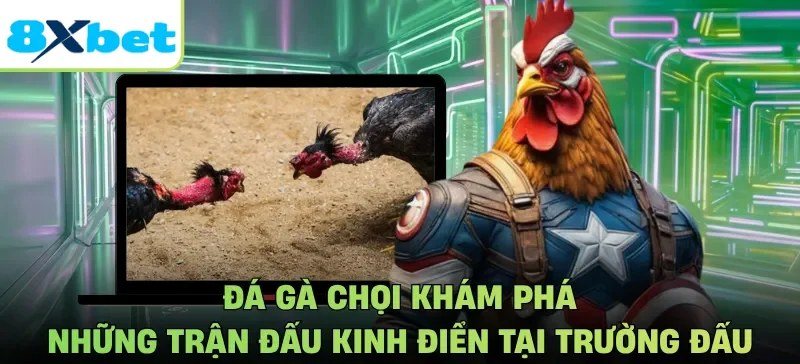 Đá gà Philippines với những trận đấu kinh điển tại các đấu trường lớn